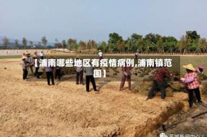 【浦南哪些地区有疫情病例,浦南镇范围】