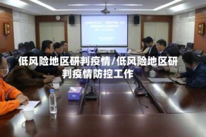低风险地区研判疫情/低风险地区研判疫情防控工作
