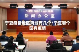 宁夏疫情地区府城有几个/宁夏哪个区有疫情