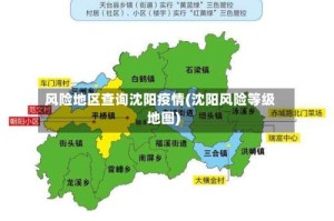风险地区查询沈阳疫情(沈阳风险等级地图)