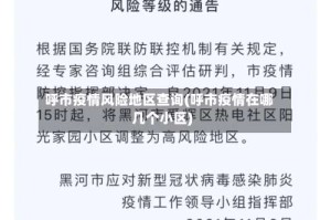 呼市疫情风险地区查询(呼市疫情在哪几个小区)