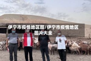 伊宁市疫情地区图/伊宁市疫情地区图片大全