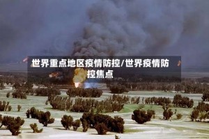 世界重点地区疫情防控/世界疫情防控焦点