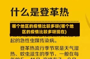 哪个地区的疫情比较多呀(哪个地区的疫情比较多呀现在)
