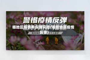 哪地区疫情有反弹风险(哪些地区疫情反弹)