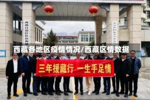 西藏各地区疫情情况/西藏区情数据