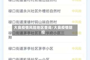 大良疫情风险地区查询/大良疫情防控