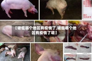 【猪瘟哪个地区有疫情了,猪瘟哪个地区有疫情了呢】