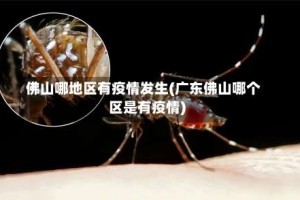 佛山哪地区有疫情发生(广东佛山哪个区是有疫情)