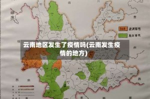 云南地区发生了疫情吗(云南发生疫情的地方)