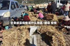 甘肃岷县疫情是什么地区/岷县 疫情