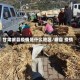甘肃岷县疫情是什么地区/岷县 疫情