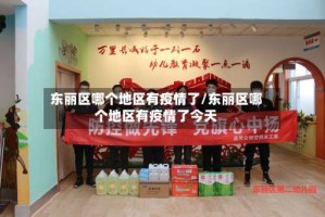 东丽区哪个地区有疫情了/东丽区哪个地区有疫情了今天