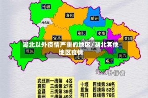 湖北以外疫情严重的地区/湖北其他地区疫情