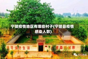 宁陵疫情地区有哪些村子(宁陵县疫情感染人数)