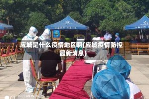 应城是什么疫情地区啊(应城疫情防控最新消息)