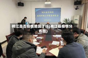 桃江是否疫情地区了呀(桃江县疫情分布图)