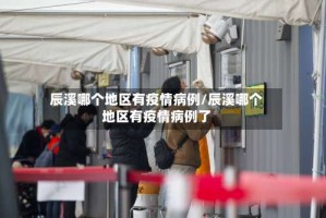 辰溪哪个地区有疫情病例/辰溪哪个地区有疫情病例了