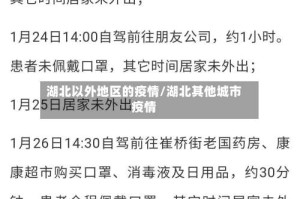 湖北以外地区的疫情/湖北其他城市疫情