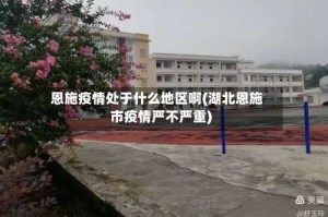 恩施疫情处于什么地区啊(湖北恩施市疫情严不严重)