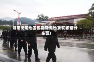 湖南衡阳地区各县疫情数(衡阳疫情分布图)