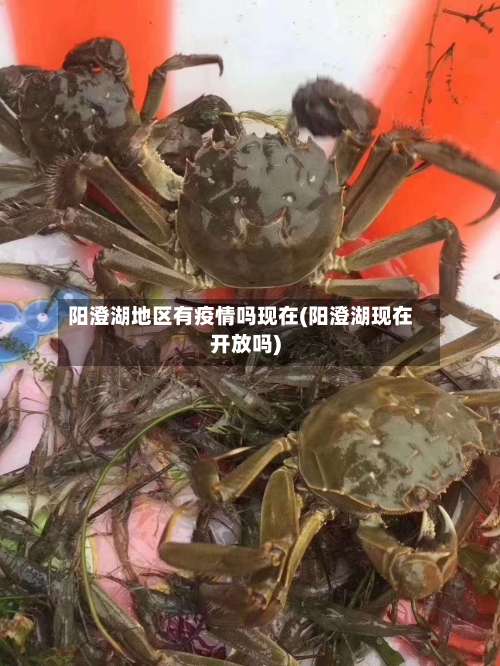 阳澄湖地区有疫情吗现在(阳澄湖现在开放吗)-第3张图片