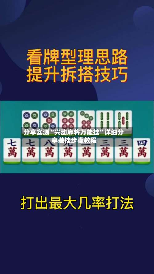 分享实测“兴动麻将万能挂”详细分享装挂步骤教程-第3张图片