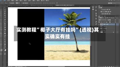 实测教程”椰子大厅有挂吗	”(透视)其实确实有挂-第1张图片