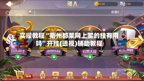实操教程“衢州都莱网上买的挂有用吗”开挂(透视)辅助教程-第2张图片