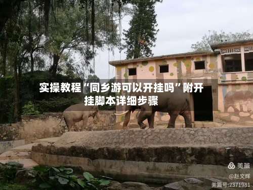 实操教程“同乡游可以开挂吗”附开挂脚本详细步骤-第3张图片