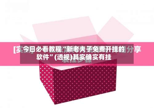 今日必看教程“新老夫子免费开挂的软件”(透视)其实确实有挂-第2张图片
