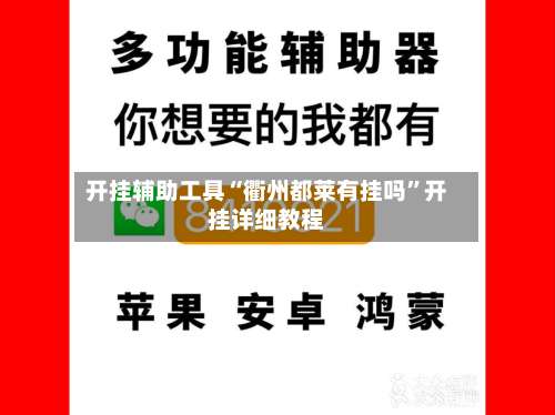 开挂辅助工具“衢州都莱有挂吗	”开挂详细教程-第2张图片