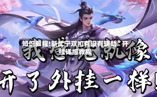 知识教程!新武宁双扣有没有辅助	”开挂详细教程-第1张图片