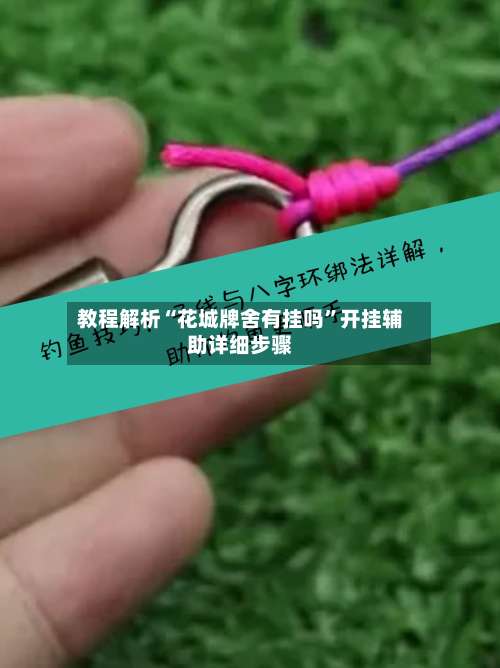 教程解析“花城牌舍有挂吗	”开挂辅助详细步骤-第1张图片