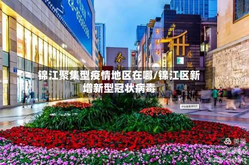 锦江聚集型疫情地区在哪/锦江区新增新型冠状病毒-第3张图片