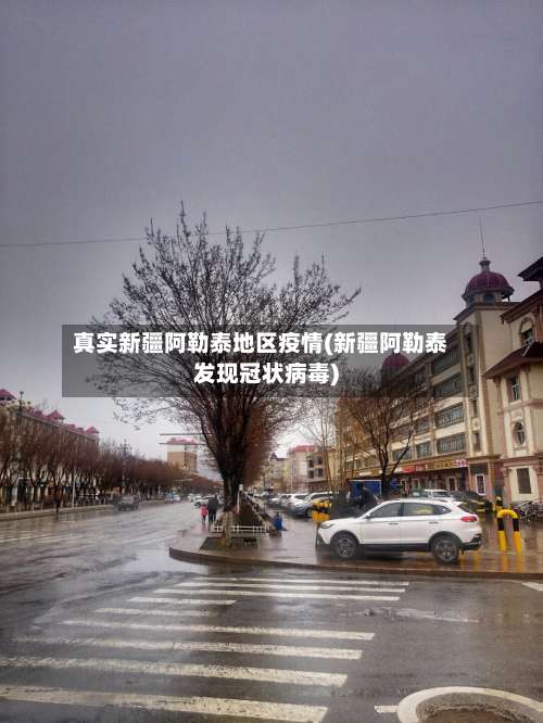 真实新疆阿勒泰地区疫情(新疆阿勒泰发现冠状病毒)-第2张图片