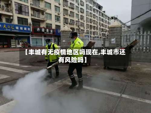 【丰城有无疫情地区吗现在,丰城市还有风险吗】-第3张图片