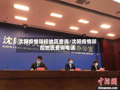 沈阳疫情防控地区查询/沈阳疫情防控地区查询电话-第1张图片