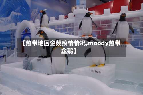 【热带地区企鹅疫情情况,moody热带企鹅】-第2张图片