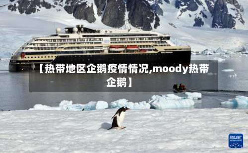 【热带地区企鹅疫情情况,moody热带企鹅】-第1张图片