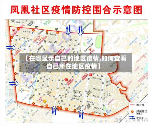 【在哪显示自己的地区疫情,如何查看自己所在地区疫情】-第1张图片