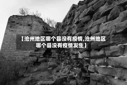 【沧州地区哪个县没有疫情,沧州地区哪个县没有疫情发生】-第2张图片