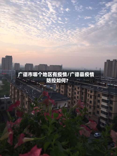 广德市哪个地区有疫情/广德县疫情防控如何?-第2张图片