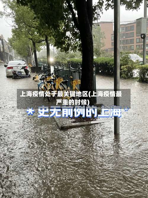 上海疫情处于最关键地区(上海疫情最严重的时候)-第2张图片