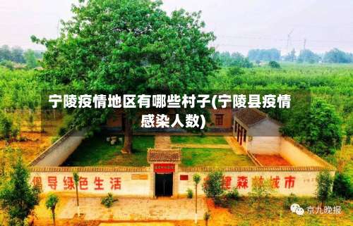 宁陵疫情地区有哪些村子(宁陵县疫情感染人数)-第1张图片