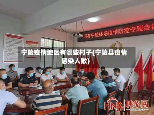 宁陵疫情地区有哪些村子(宁陵县疫情感染人数)-第3张图片