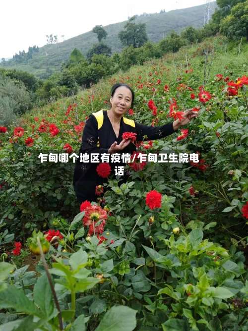 乍甸哪个地区有疫情/乍甸卫生院电话-第1张图片