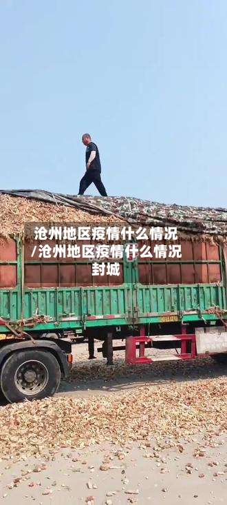 沧州地区疫情什么情况/沧州地区疫情什么情况封城-第2张图片