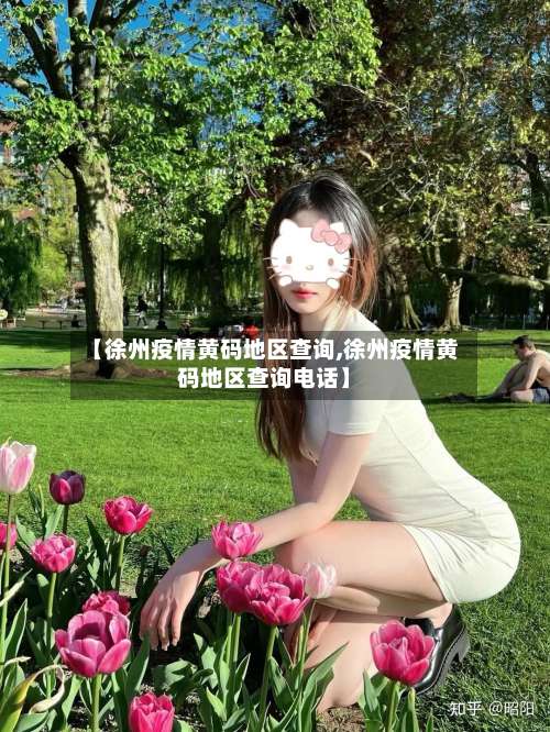 【徐州疫情黄码地区查询,徐州疫情黄码地区查询电话】-第2张图片