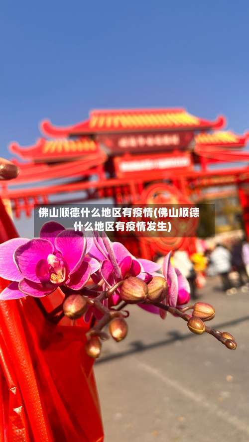 佛山顺德什么地区有疫情(佛山顺德什么地区有疫情发生)-第2张图片